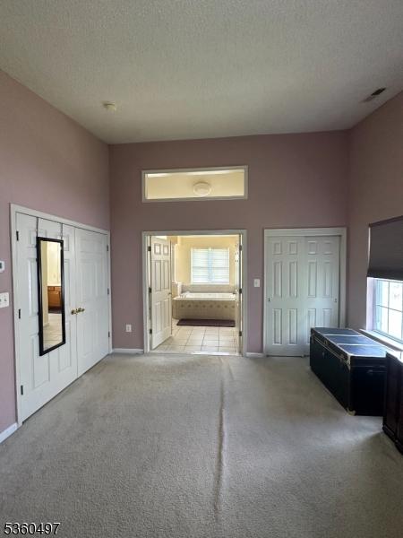 30 Julie Ct, Franklin Twp, NJ 08873 - bedroom with carpet flooring, baseboards, a textured ceiling, multiple closets, and ensuite bathroom