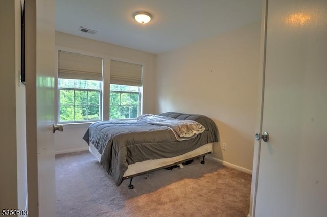 304 Trinity Ct Unit 11, West Windsor Twp, NJ 08540 - bedroom featuring carpet and baseboards