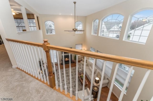 6 Apgar Ct, Raritan Twp, NJ 08822 - staircase featuring a ceiling fan and carpet