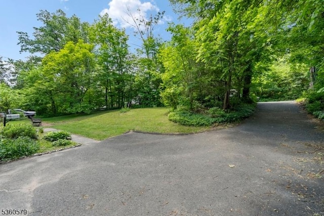 274 Diamond Hill Rd, Berkeley Heights Twp, NJ 07922 - view of grassy yard with a view of trees
