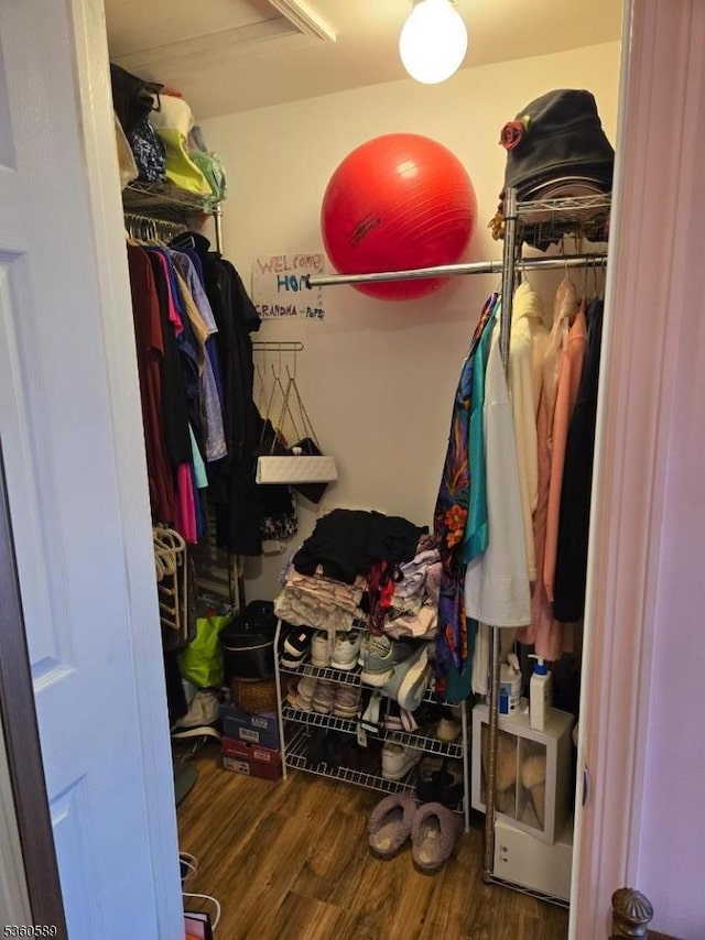 14 Douglas Dr, Jackson Twp, NJ 08527 - spacious closet featuring wood finished floors