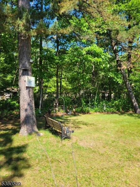 14 Douglas Dr, Jackson Twp, NJ 08527 - view of green lawn