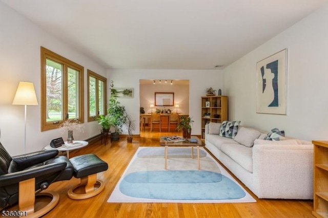 81 Coppermine Rd, Franklin Twp, NJ 08540 - living room with wood finished floors