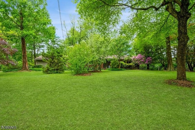 81 Coppermine Rd, Franklin Twp, NJ 08540 - view of grassy yard