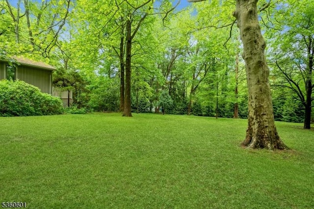 81 Coppermine Rd, Franklin Twp, NJ 08540 - view of grassy yard