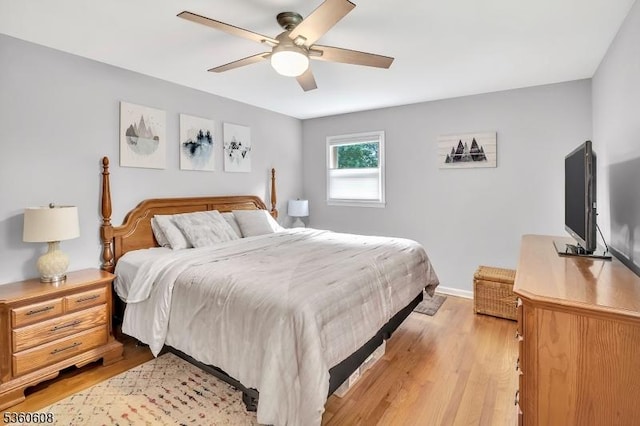 11 Anne St, Hillsborough Twp, NJ 08844 - bedroom with light wood finished floors, baseboards, and ceiling fan