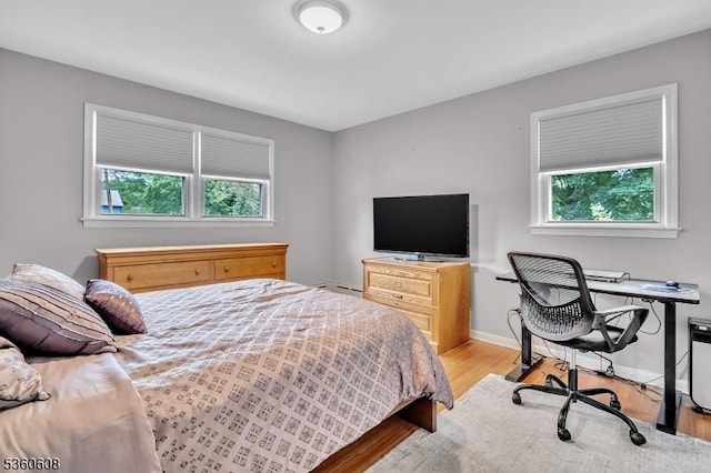 11 Anne St, Hillsborough Twp, NJ 08844 - bedroom featuring light wood-style floors and baseboards
