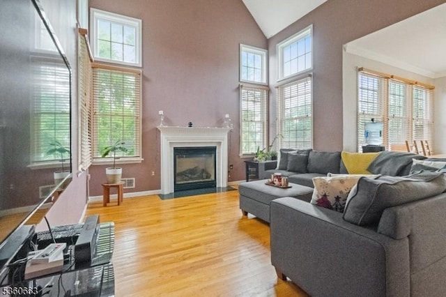 40 Upsala Ct, East Orange City, NJ 07017 - living area with light wood finished floors, a fireplace with flush hearth, baseboards, and high vaulted ceiling