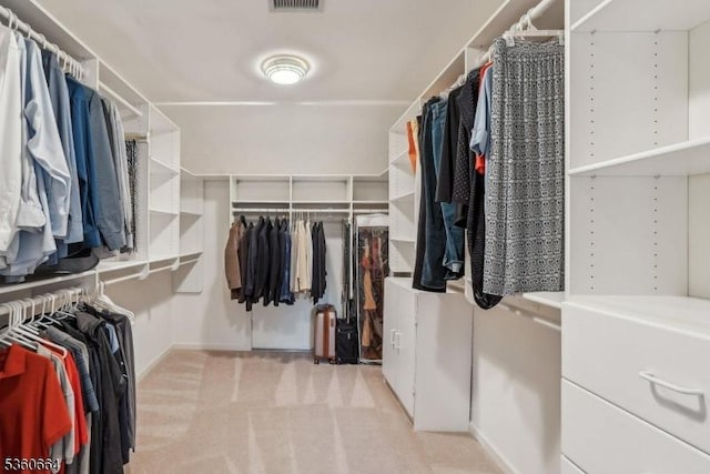 9 Labaw Way, Montgomery Twp, NJ 08502 - spacious closet with light carpet