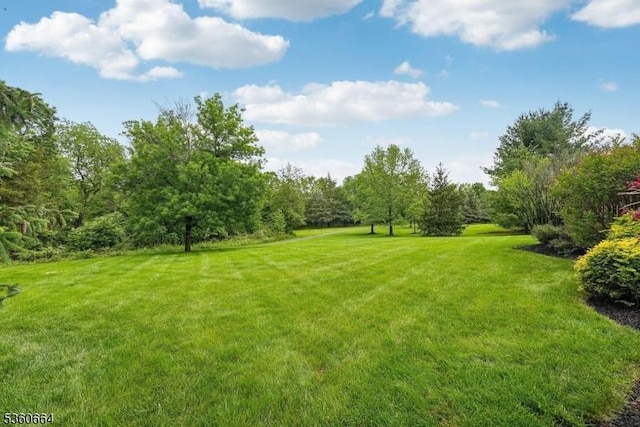 9 Labaw Way, Montgomery Twp, NJ 08502 - view of green lawn
