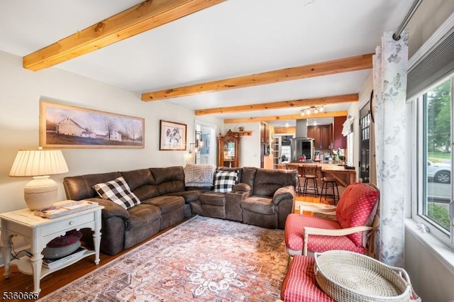 126 Smith Rd, Franklin Twp, NJ 08873 - living room with healthy amount of natural light, wood finished floors, and beam ceiling