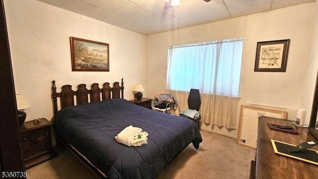 255 Tucker Ave Unit 239, Union Twp, NJ 07083 - bedroom with carpet floors and ceiling fan