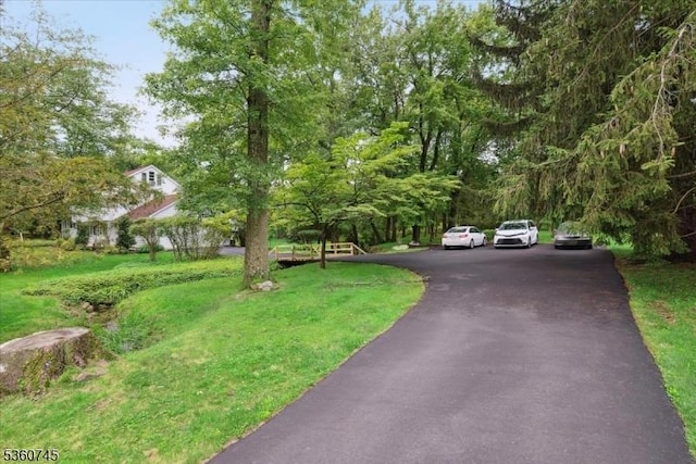 42 Wildwood Ter, Watchung Boro, NJ 07069 - view of front of home featuring a front lawn