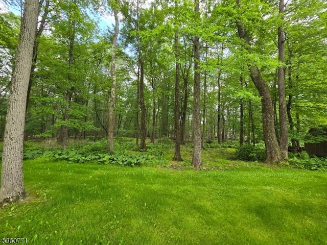 14 Constitution Ave, Roxbury Twp, NJ 07876 - view of yard