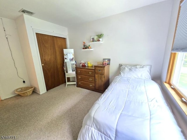 14 Constitution Ave, Roxbury Twp, NJ 07876 - bedroom with light colored carpet and a closet
