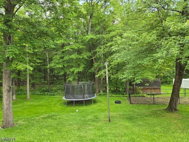 14 Constitution Ave, Roxbury Twp, NJ 07876 - view of yard featuring a trampoline