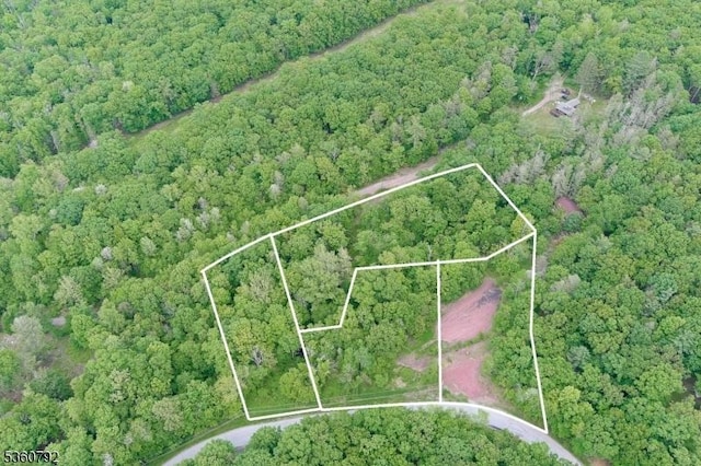 13 Brookhaven Way, Montague Twp, NJ 07827