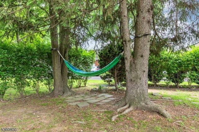 31 Woodside Ave, Cranford Twp, NJ 07016 - view of undeveloped land