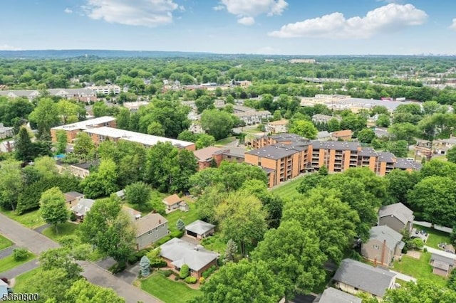 31 Woodside Ave, Cranford Twp, NJ 07016 - bird's eye view