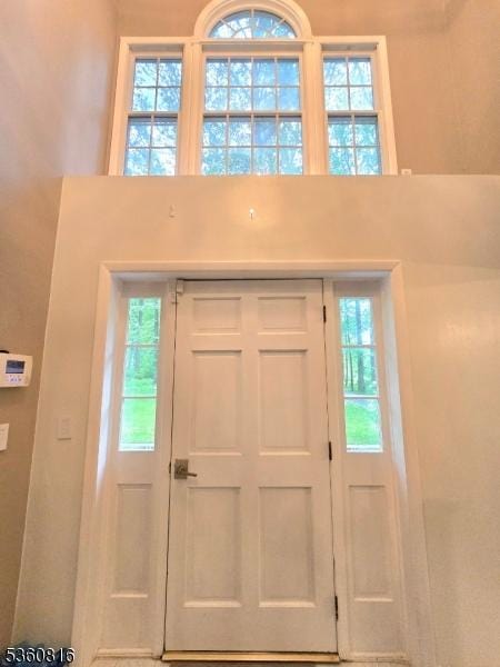 103 Mountain Top Rd, Lebanon Twp, NJ 08826 - entrance foyer with a high ceiling and plenty of natural light