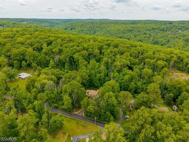 542 Drakestown Rd, Mount Olive Twp, NJ 07836 - bird's eye view of a heavily wooded area