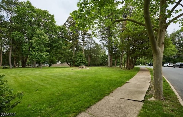 251-B Elmwynd Dr, City Of Orange Twp, NJ 07050