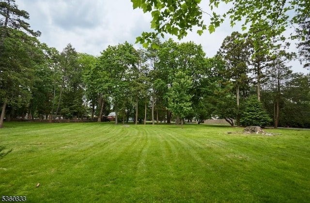 251-B Elmwynd Dr, City Of Orange Twp, NJ 07050