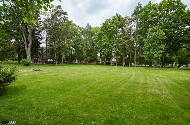 251-B Elmwynd Dr, City Of Orange Twp, NJ 07050