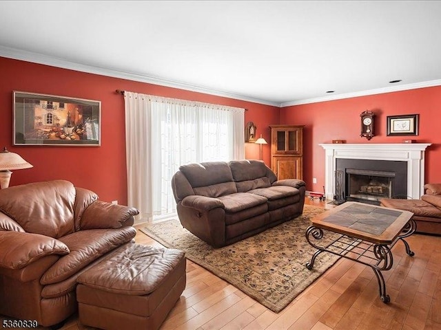 5 Portsmouth Ct, Raritan Twp, NJ 08822 - living room with light wood-type flooring, ornamental molding, and a fireplace with flush hearth