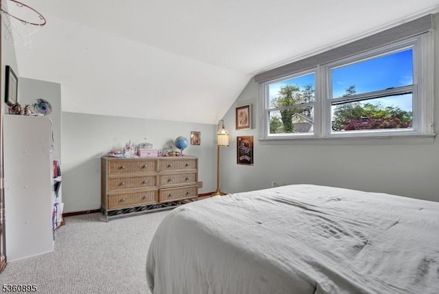 51 Hoffman Ave, Parsippany-Troy Hills Twp, NJ 07034 - bedroom with vaulted ceiling and carpet