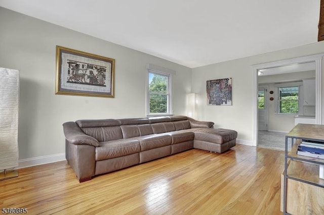 51 Hoffman Ave, Parsippany-Troy Hills Twp, NJ 07034 - living room with light wood-type flooring and baseboards