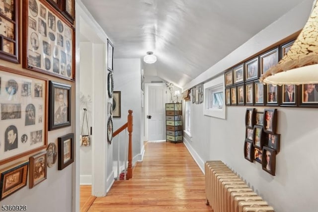 2 Broad St, Stockton Boro, NJ 08559 - hall with radiator, light wood-type flooring, vaulted ceiling, and baseboards