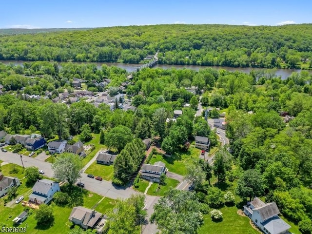 2 Broad St, Stockton Boro, NJ 08559 - bird's eye view of a heavily wooded area and a nearby body of water
