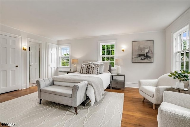 168 Grove St, Montclair Twp, NJ 07042 - bedroom featuring multiple windows, light wood-style floors, and radiator
