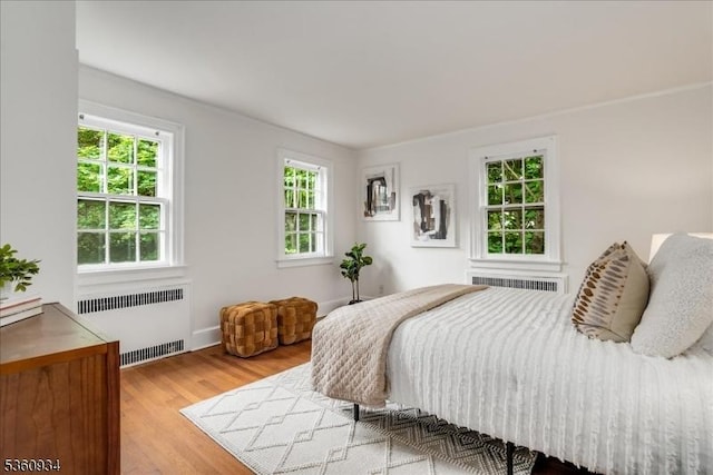 168 Grove St, Montclair Twp, NJ 07042 - bedroom featuring radiator heating unit, multiple windows, and wood finished floors