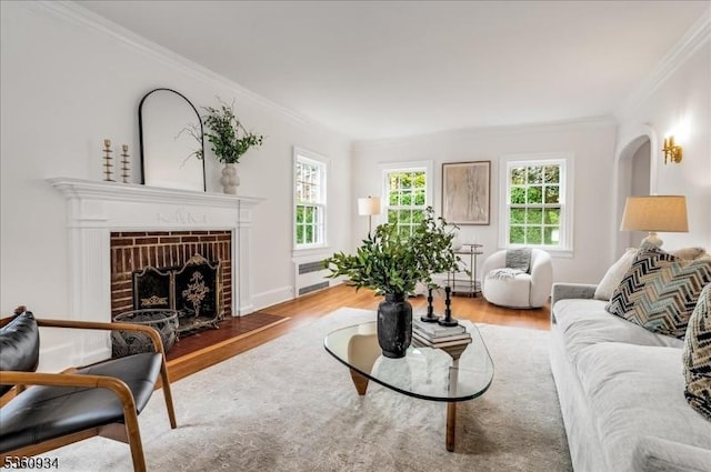 168 Grove St, Montclair Twp, NJ 07042 - living room with crown molding, wood finished floors, a fireplace, a baseboard radiator, and baseboards