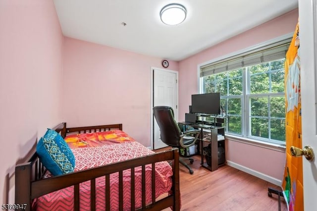 203 Rhoads Dr, Condo, Montgomery Twp, NJ 08502 - bedroom with light wood-type flooring and baseboards