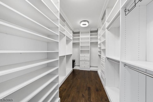 47 Cutlass Rd, Kinnelon Boro, NJ 07405 - spacious closet featuring dark wood-style flooring