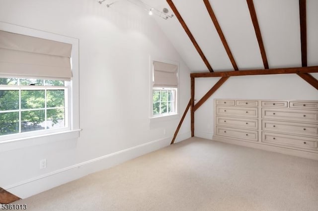 563 Cherry Valley Rd, Montgomery Twp, NJ 08540 - bonus room with vaulted ceiling and light colored carpet