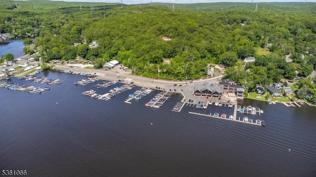 2 Shore Rd, Jefferson Twp, NJ 07849 - drone / aerial view of a forest, a marina, and a nearby body of water