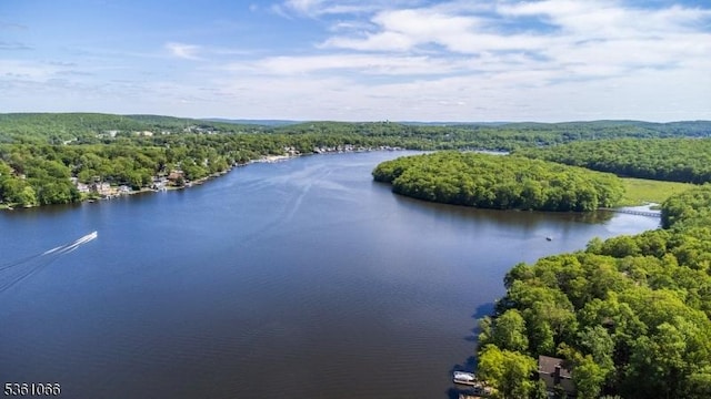 2 Shore Rd, Jefferson Twp, NJ 07849 - aerial view of a forest and a nearby body of water