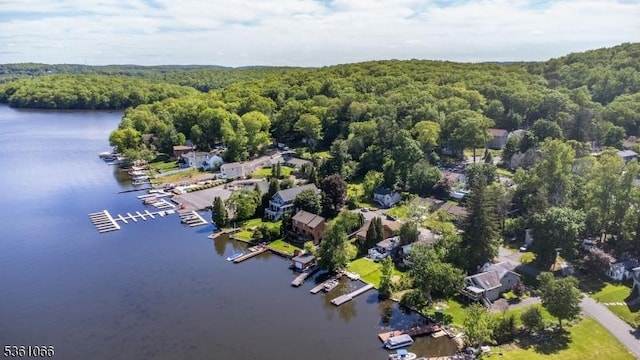 2 Shore Rd, Jefferson Twp, NJ 07849 - aerial view of property and surrounding area with a heavily wooded area and a large body of water