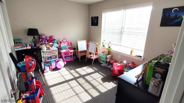 92 Sowers Dr Unit Cu92, Mount Olive Twp, NJ 07840 - recreation room with carpet floors