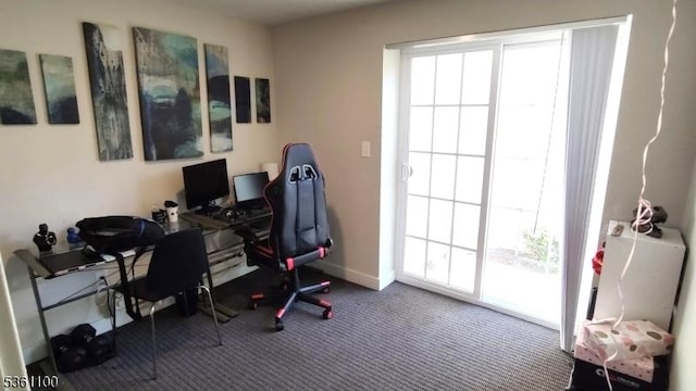 92 Sowers Dr Unit Cu92, Mount Olive Twp, NJ 07840 - office area with carpet floors and baseboards
