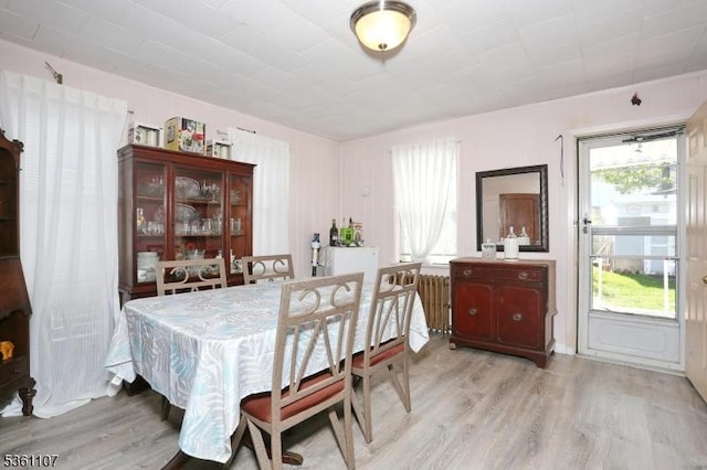 328 Hoover Ave, Bloomfield Twp, NJ 07003 - dining area with light wood-style floors, plenty of natural light, and radiator heating unit