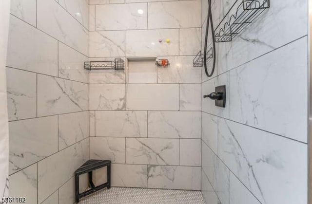 11 Spring Mdw, Oxford Twp, NJ 07863 - bathroom featuring tiled shower