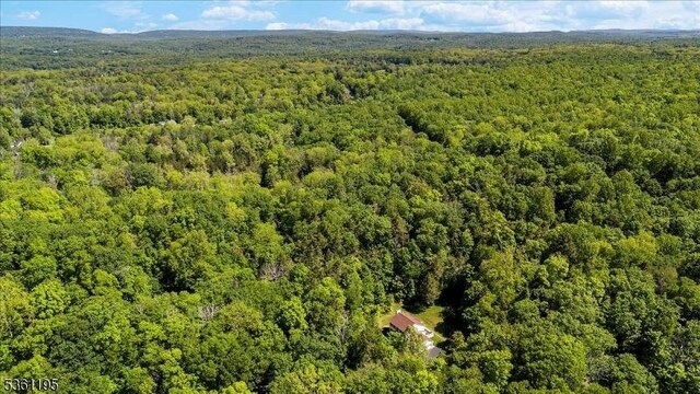 10A E Crisman Rd, Blairstown Twp, NJ 07825 - drone / aerial view of a heavily wooded area