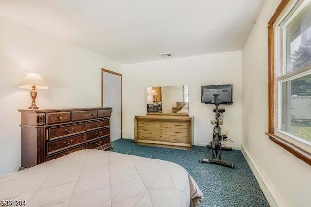 260 Munsonhurst Rd, Franklin Boro, NJ 07416 - carpeted bedroom featuring multiple windows