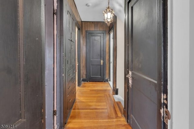 53 Elliot Pl, East Orange City, NJ 07018 - corridor with light wood-style flooring, baseboards, and wood walls