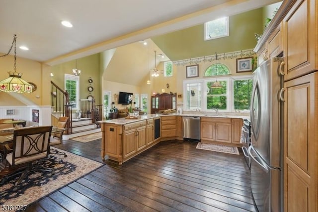 10 Fawn Ter, Jefferson Twp, NJ 07849 - kitchen with stainless steel appliances, a peninsula, dark wood finished floors, high vaulted ceiling, and pendant lighting